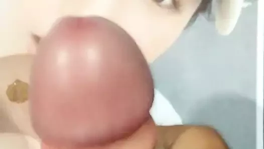 Shieri ohata döl haraç