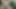 Ormanda fışkırtma, açık havada oyun