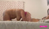 Pregled videozapisa