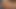 Chunky Cutie Starts Period While Dildoing