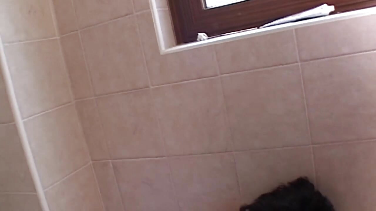 O pau do meio-irmão