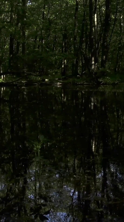 Must-share moment from "trailer Mesmeriza 23 02 MOV CINEMA CLIP 321 20240814134325039"