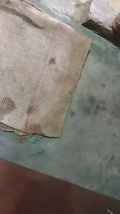 Indian bhabhi sex