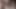 Three trannies in black leather get sucked by a man before