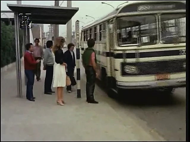 A Noite das Taras 2