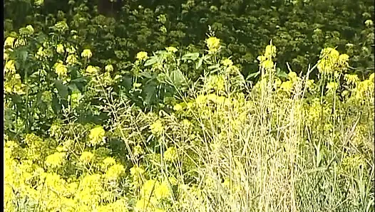 Грудастая рыжая тинка снимает платье на улице