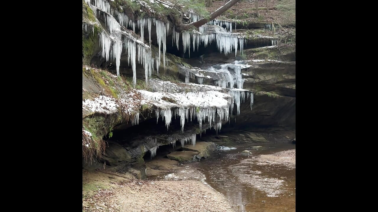 Shy  white pussy pounded In the wilderness