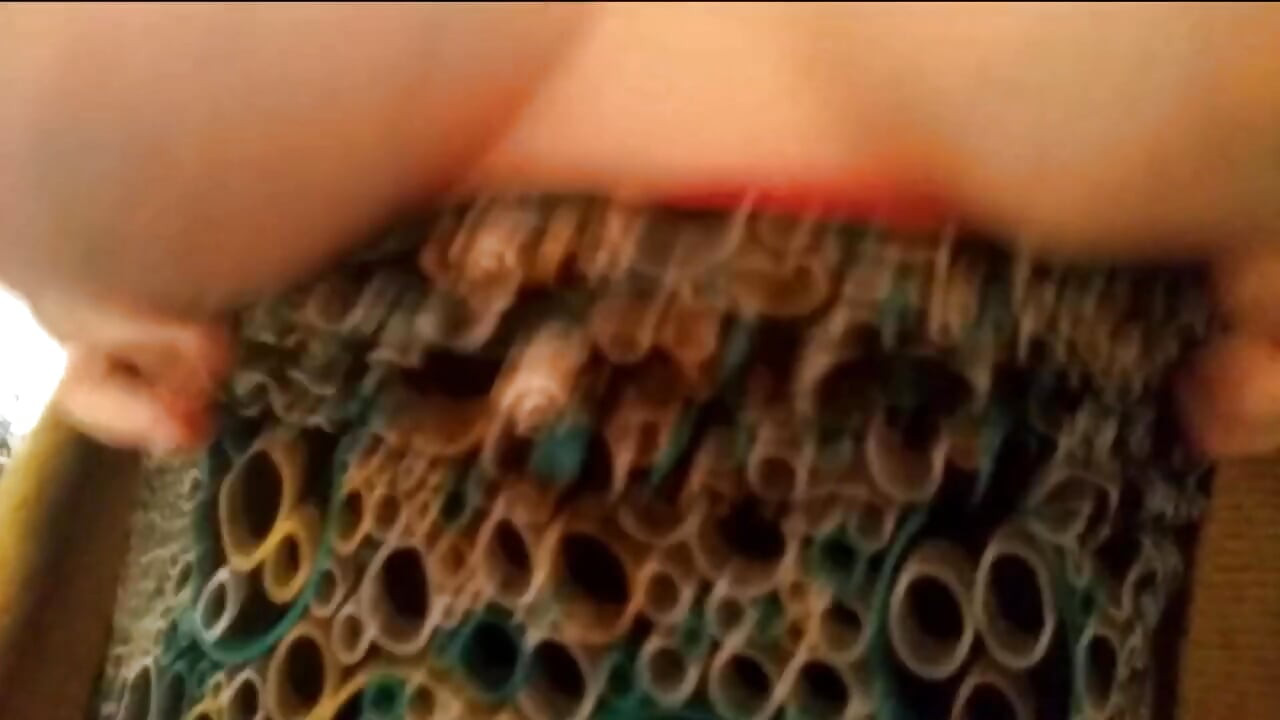 Compilação de Cumshots XXIII (e brincadeira com minha esposa)
