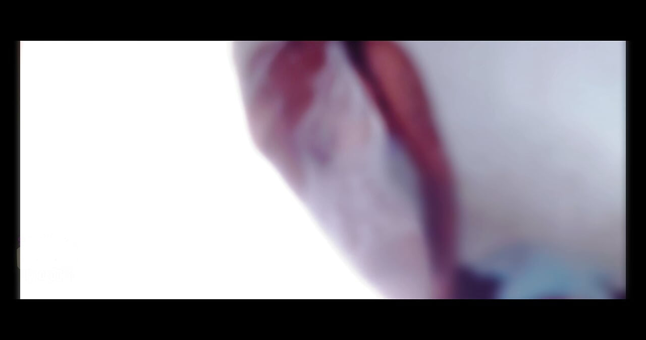 GOON-TOBER BUTTERFLY WINGS
