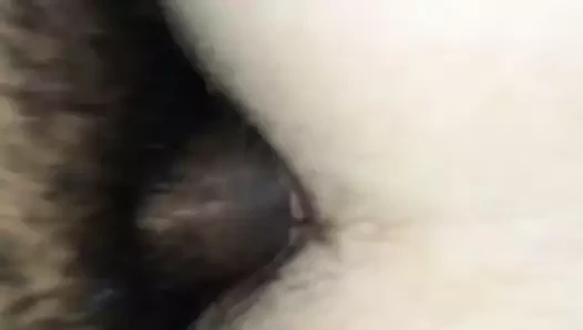 BRODYCD20