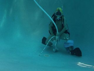 Potápěčský medvěd krmící bazén