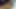 Solo Male Masturbation on webcam.