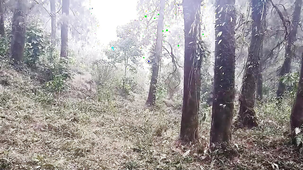 Jungle me Mangal Sudipa aur Antim ka jordaar chudae jungle me