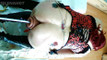 Pregled videozapisa