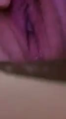 Fat holly