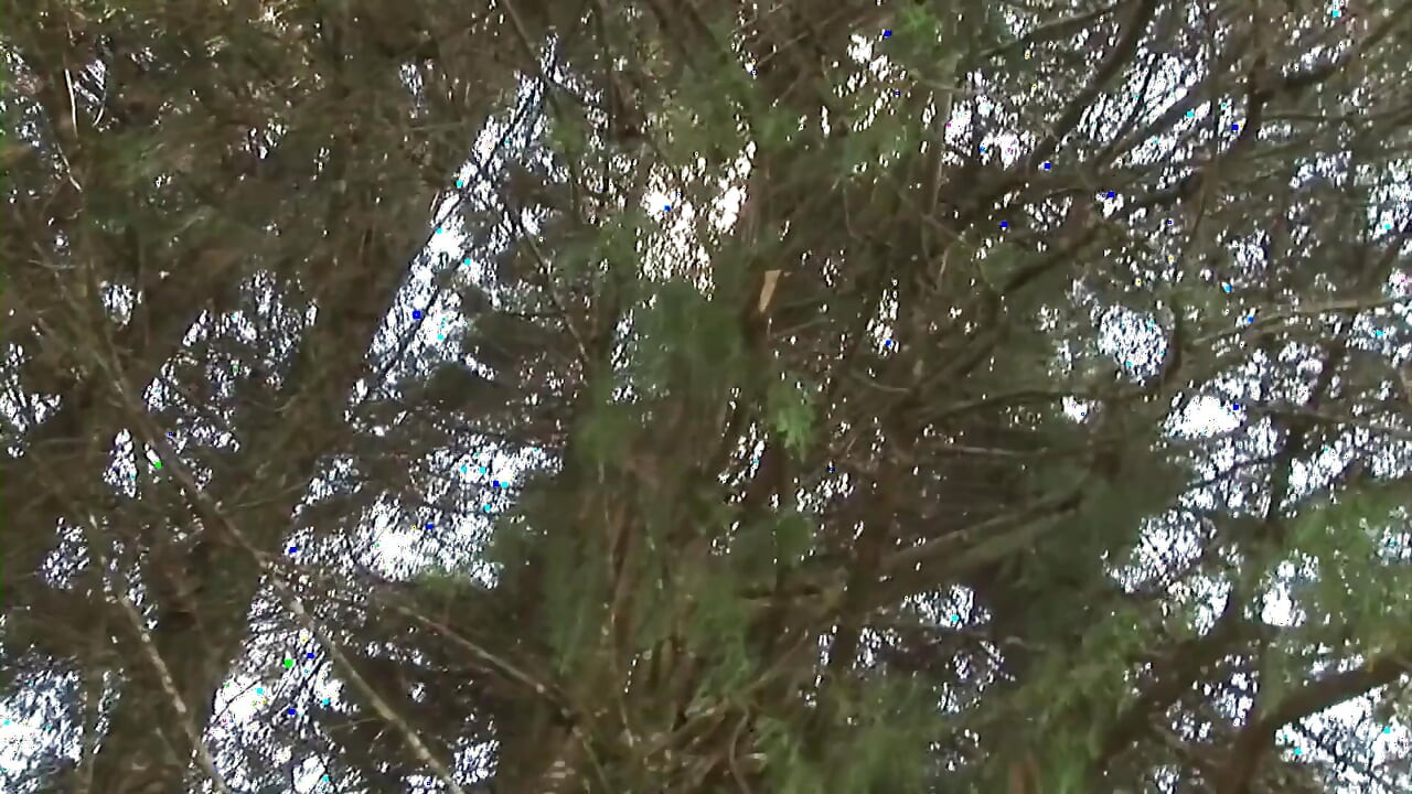 Outdoor gay jerking