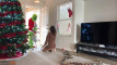 Pratinjau video