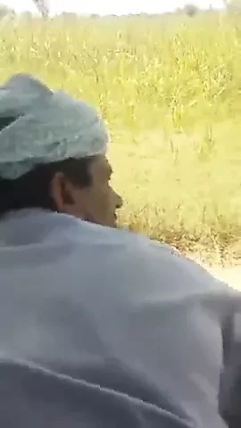 cruising...Indian daddy fucked by stranger