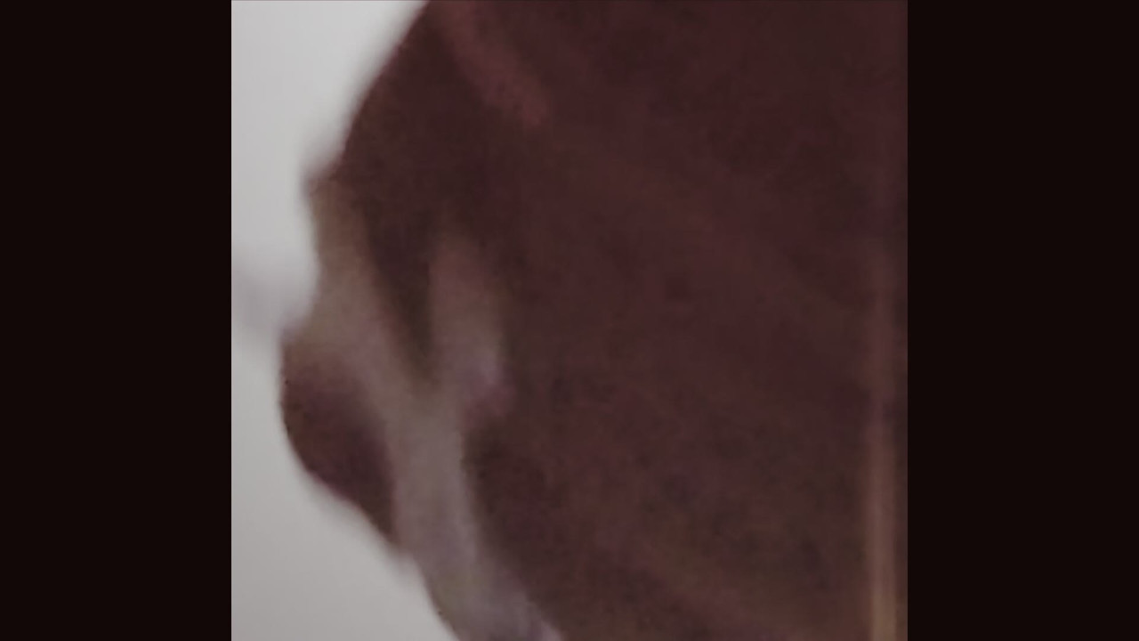 Cumming on your face with my piercing cock