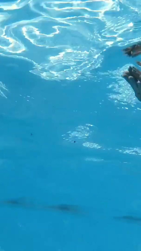 Super hot and juicy milf Heart in the pool | Clip 1