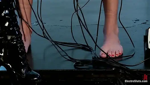 Maia Di bawah Kontrol Elektro