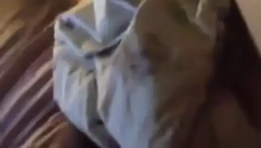 Cum haraç