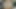 He Made Me a Human Toilet Whore by Letting Me Jerk off in My Own Mouth and Swallow Piss and Cum