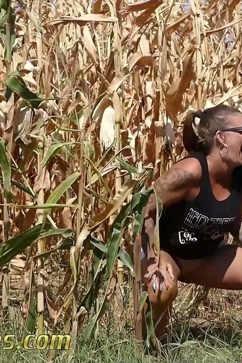 Pee in a corn field