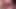 デシの美しい女の子が大きなチンコをしゃぶる
