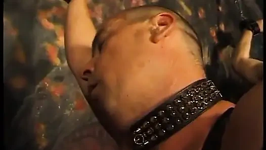 Играет с двумя их рабынями