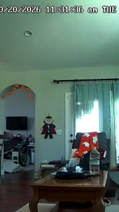 Camera catches MILF playing with pussy on couch | Clip 2