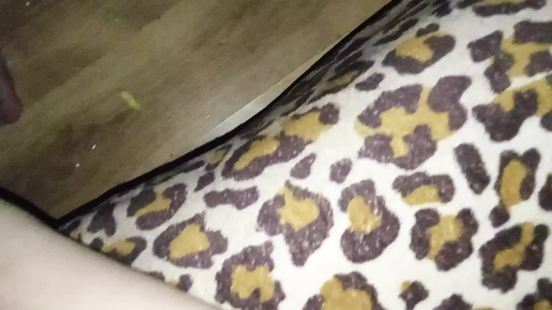 Sesso in più posizioni