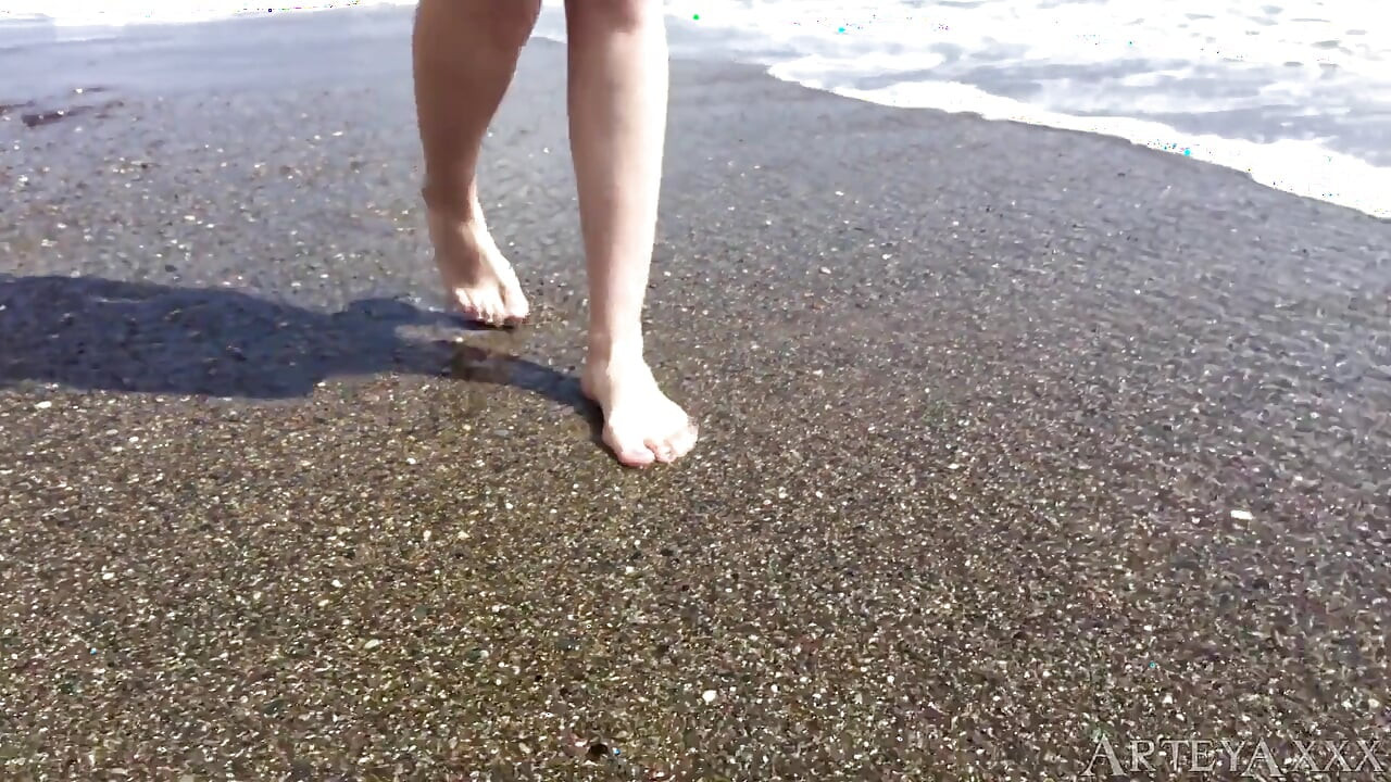 Perra en la playa