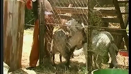 Horny cock sucking guy gets ass ravaged while fucking a hot bitch on the lawn