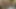 02-Mar-2018 Ass-To-Mouth Dildo Faggot ATM A2M