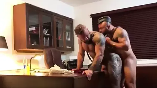 TWO SUPERBE MUSCLE BEARS