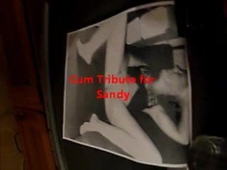 Cum Tribute for Sandy