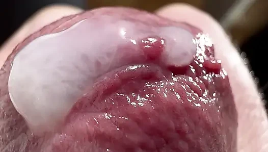 My crocodile's mouth is fed