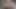 Üvey kızkardeşin kedi içinde tesadüfi Creampie