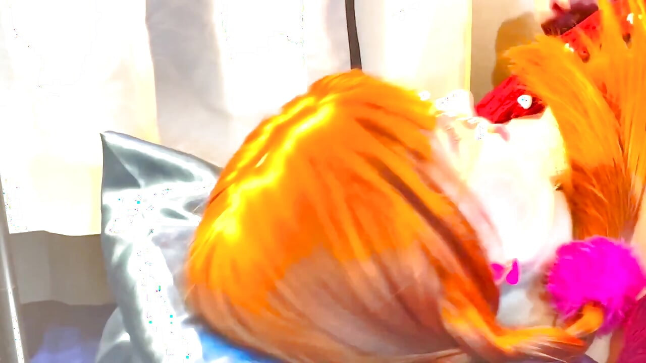 ピルの端を中出しするための膣検査