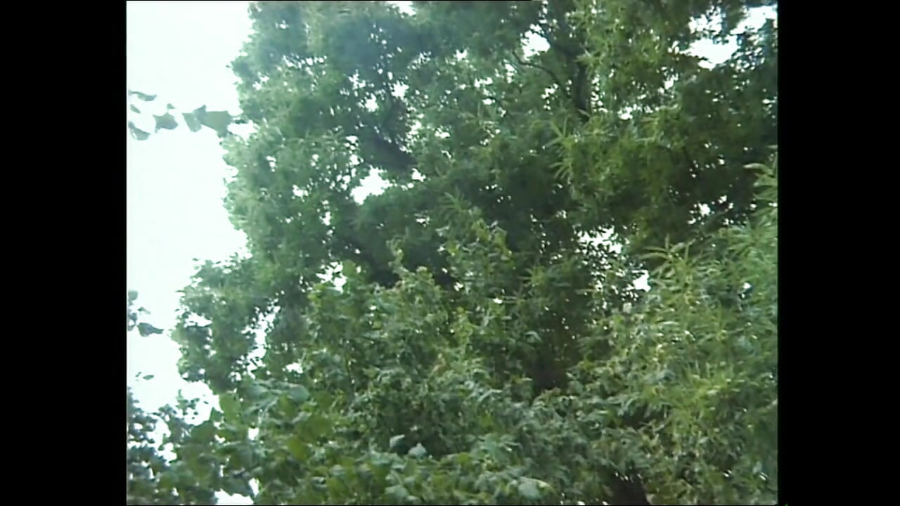 Cock Tease