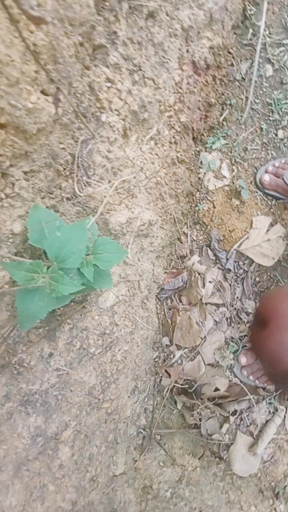 Waiting for girlfriend in the forest