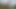Dedesi golften sonra çalıların içinde lanet yakalandı