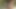 Küçük yarak Bianca Armanni siyah iç çamaşırını çıkarıyor ve boşalıyor