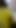 Hot man with yellow inner