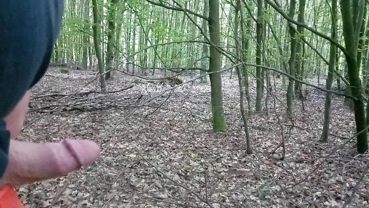 Outdoor in the forest snotted