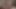 Walking nude in the Australian Bush
