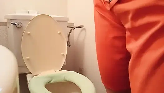 Various toilet scenes