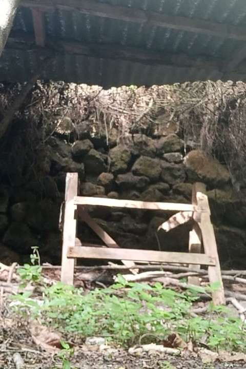 Dışarıda işemek, bakalım biri beni görür mü!