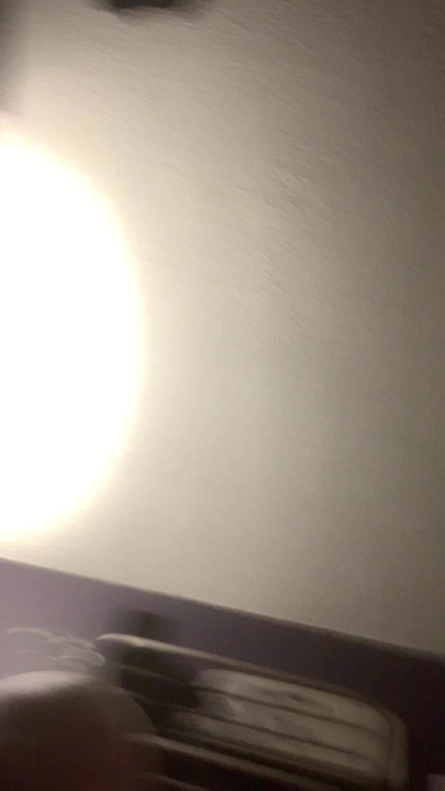 Penis
